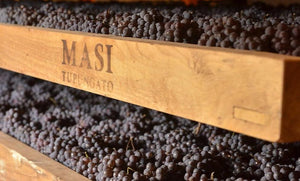 Técnica del Appassimento en Bodega Masi Tupungato